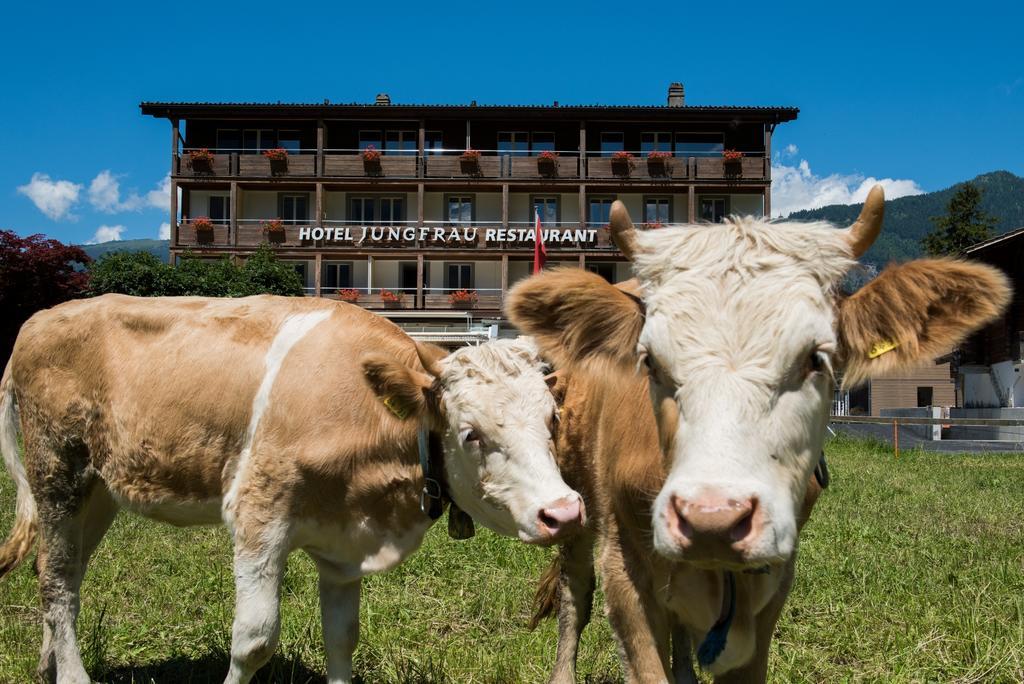 Jungfrau Hotel Wilderswil Eksteriør billede